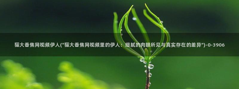 伊人久久影院88：猫大香焦网视频伊人(\