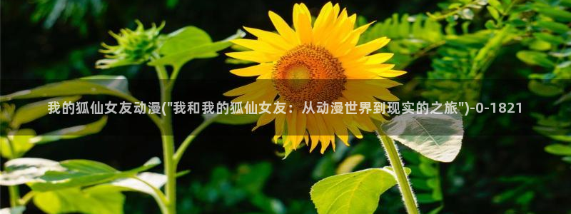 天使动漫网