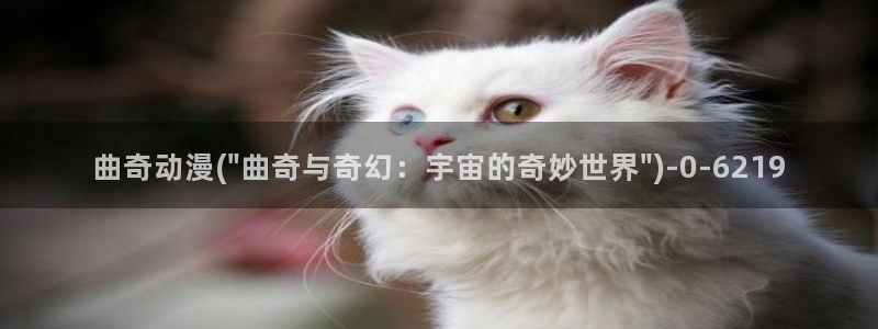 爱动漫网