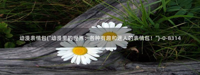 动漫卡通